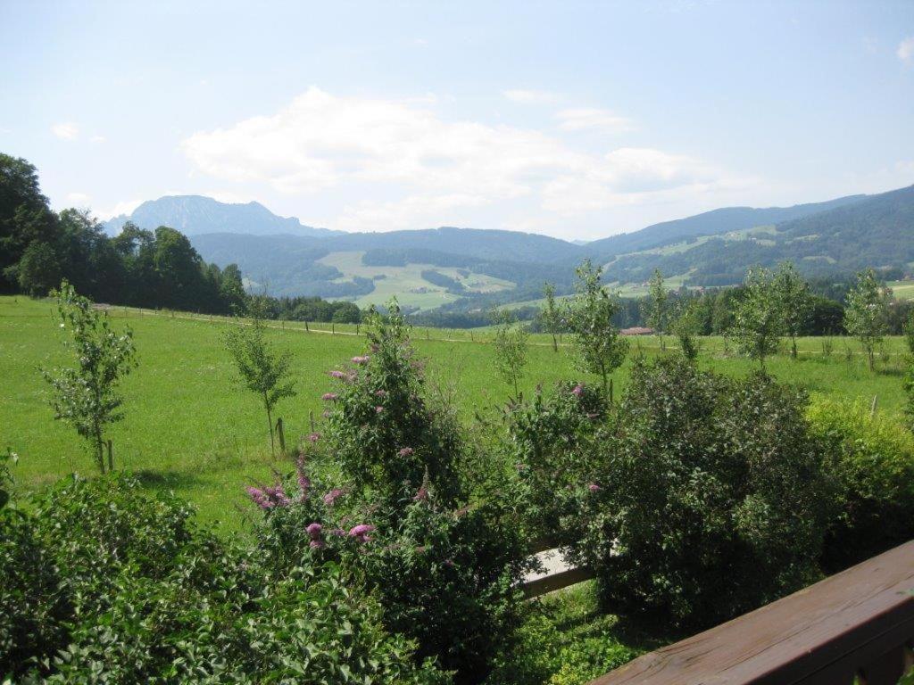 Appartement Obermoarhof à Anger Extérieur photo